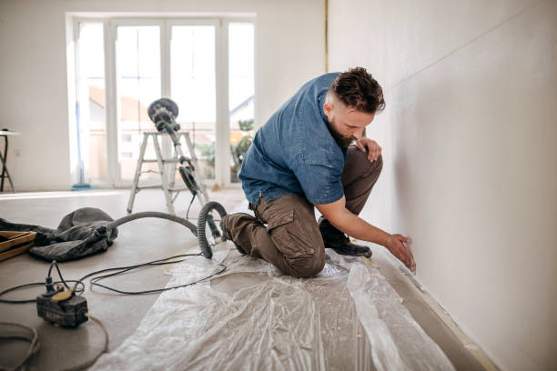 Professional Drywall & Painting Services in Dewitt, MI